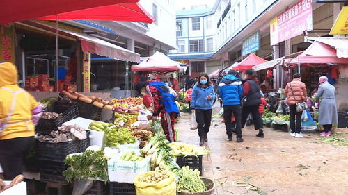 白沙洲农贸市场停车场一晚上多少钱 (药王山农贸市场停车场收费标准)