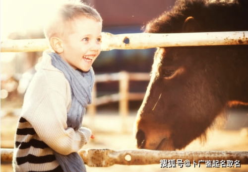 周易取名 牛年男孩起名字大全,富有智慧与才华的男宝宝名字