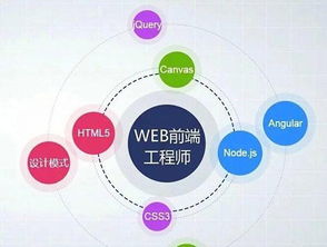 web前端有必要学吗(web前端有必要培训吗)