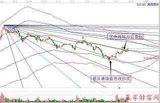 路弟的成立的公司是做什么业务的？