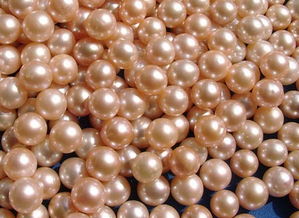 人工怎样养殖珍珠 中国的淡水养珠起源宋朝