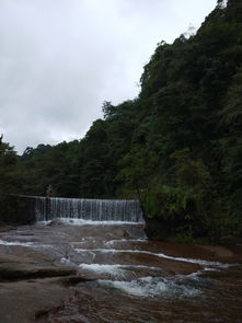 天台山一日游