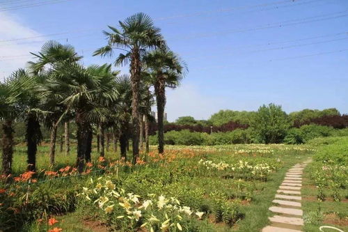 郑州这5大景点,孩子爱玩涨知识,而且全都免费