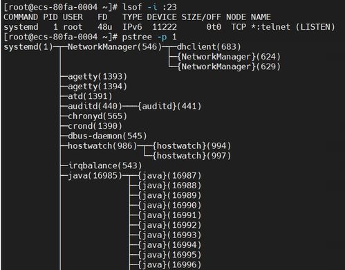 linux根据端口查进程,使用lsof命令查端口对应的进程