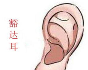 耳朵大有福气是真的吗 有福气的耳朵类型有哪些