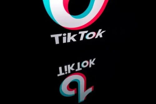 tiktok下载完用不了_如何在TikTok推广