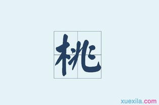 带有桃字的的四字词语-图2