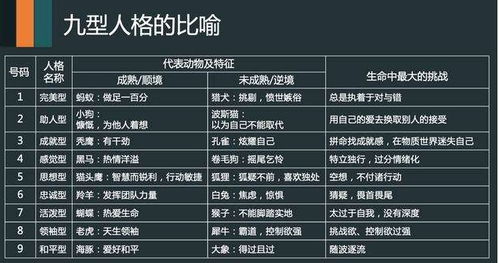 九型人格测试 九型人格免费测试版 九型人格测试分析 九型人格测试官方标准版