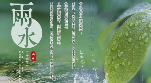 雨水节气 3个生肖顺利进财运势旺