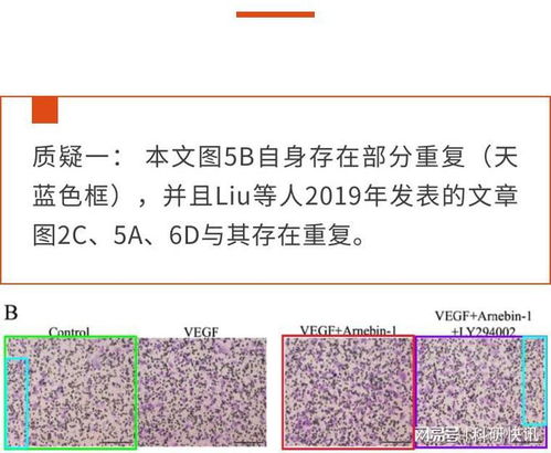 广州规模大的论文查重