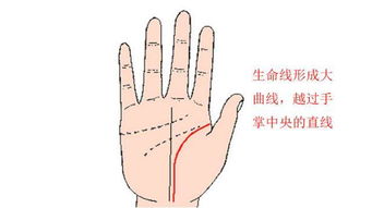 男人手相生命线短图片 搜狗图片搜索