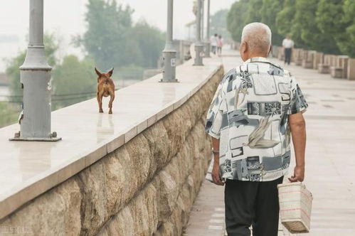 用我父亲的经历告诉大家 为什么退休后,不建议回农村老家养老