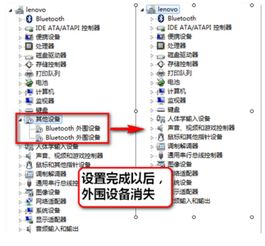 bluetooth外围设备驱动下载