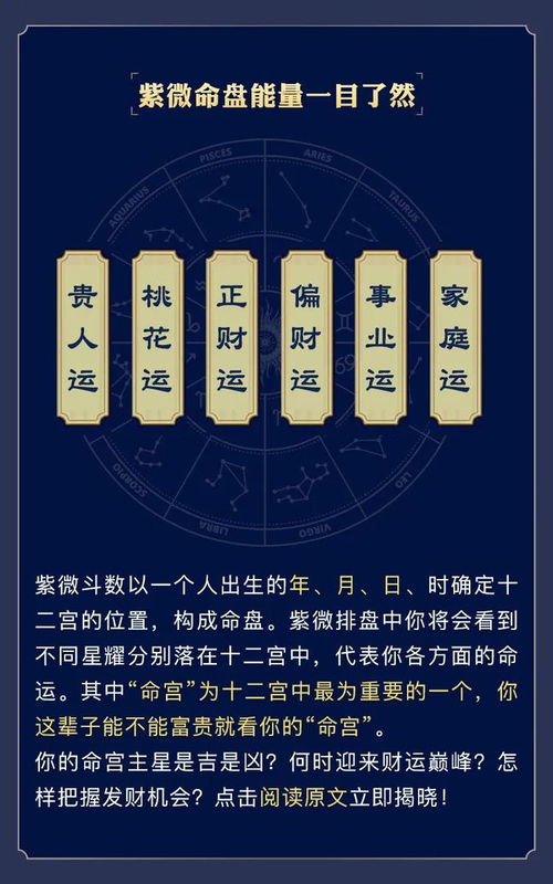 紫薇命盘详批 算尽你一生的富贵吉凶