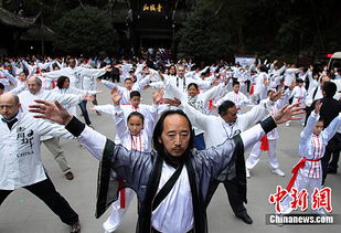 驻华大使 拜师 青城派掌门学太极 