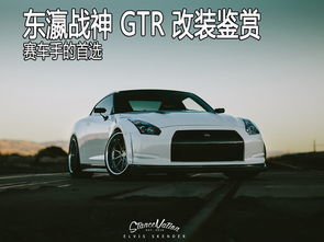 Gtr战神赛车涂装图片 图片搜索