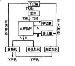 1.截至2008年2月12日.我国南方低温雨雪冰冻灾害已造成1111亿元直接经济损失.农作物受灾面积达1.77亿亩.绝收2530亩.其中叶菜类蔬菜发生的冻害最为严重.森林受损面积近 