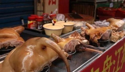 只有广西人爱吃狗肉 东北人也爱吃狗肉咧