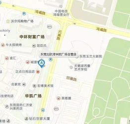 东莞市南城区元美路华凯广场有哪些公司?