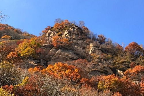 北京这座森林公园 名字没那么好听,风景却出乎意外的漂亮