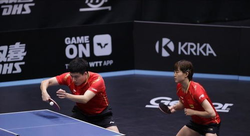 林高远无缘男单八强,中国乒乓球世界冠军名单