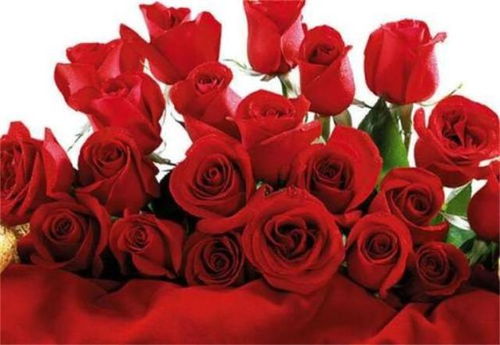男人送女人19朵玫瑰代表什么意思 男人会轻易送19朵玫瑰吗为什么