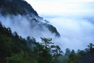 宁波九峰山旅游线路宁波九峰山景区门票价格(宁波九峰山停车场免费时间)