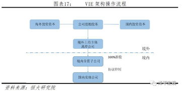 拟上市公司中有境外高管或者持有境外工作签证行吗