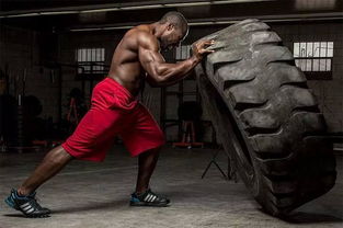 翻轮胎 拽轮胎 掷轮胎,健身过程中如何妙用轮胎练出好身材