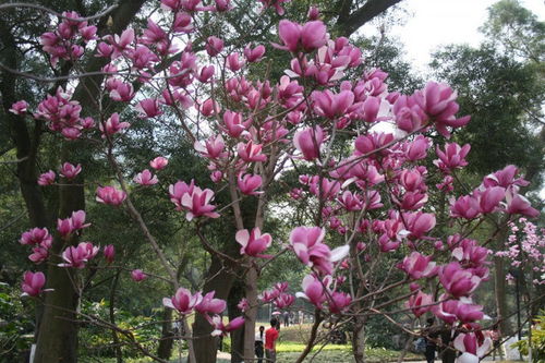 桃花节节攀升,未来9天内,会偶遇佳人,长相厮守的四个星座