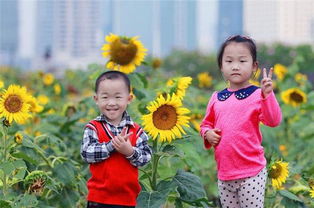 为什么很多独生子女不认可父母生二胎 