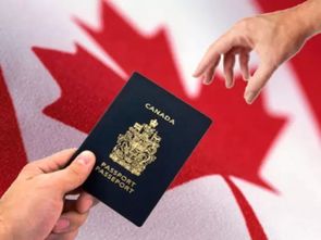 加拿大留学生申请移民,都有哪些优惠政策 