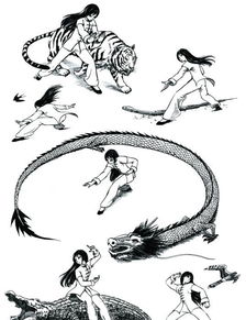 中国传统武术 形意拳 