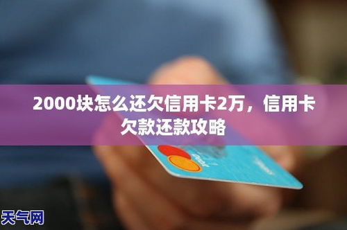 信用卡欠款30万怎么还款,信用卡欠了30万怎么办