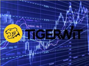 TigerWit知识课堂 外汇投资攻略之炒外汇中盈利高的货币对