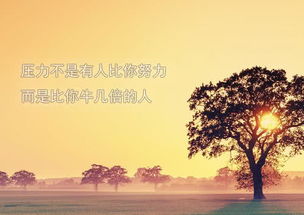 7月底3生肖运势逆转,绝地逢生,意外之财进账不断,钱途无限