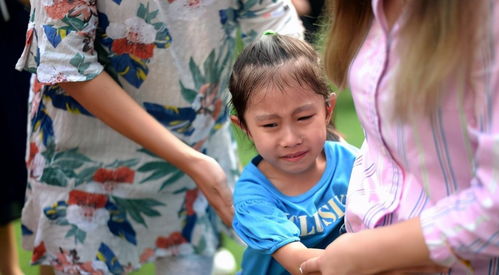 资深幼师坦言 上幼儿园不哭不闹的孩子,多半来自这4种家庭