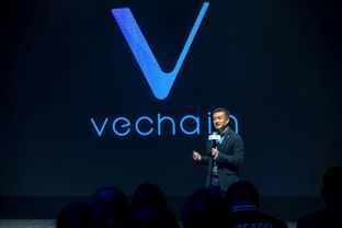 vechain是什么公司,公司背景