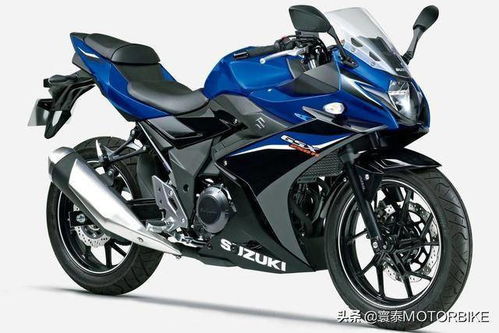 返销日本的GSX250R刚完成ABS升级 车友 还是咱的香