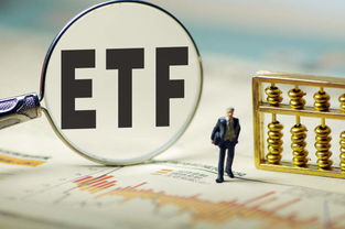 散户投资者如何投资ETF