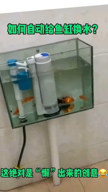 自动换水的鱼缸 