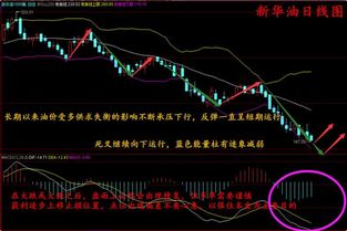 qtum币今日价格k线, 2，价格的概要。