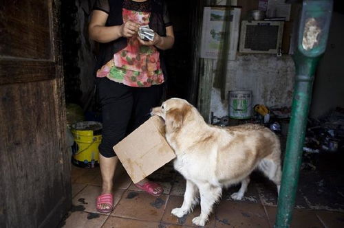 初一男生背废品回家卖钱换班费,他为什么要这样做?