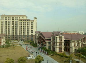 上海全日制自考大学,上海有哪些自考本科学校？