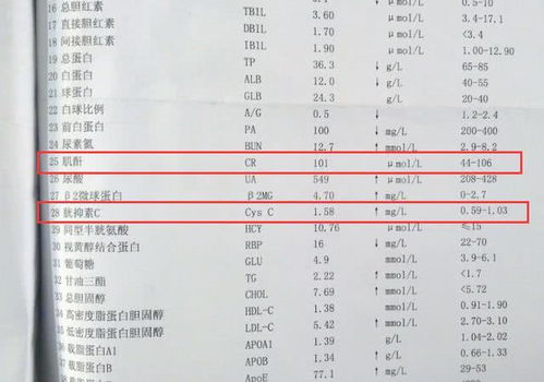 尿素氮0.11正常吗?