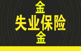 失业保险金领取攻略(失业保险金领取手续流程)