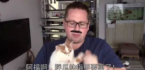 养猫前VS养猫后,家人态度反差有多大