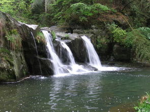 庐山象征(庐山象征着什么)