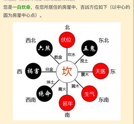 请问床安在哪里比较好 