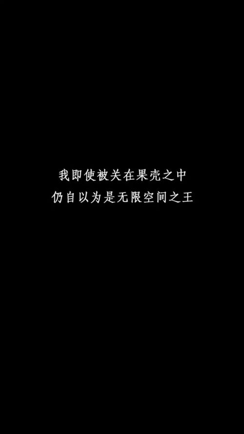 壁纸,黑底白字 个性文字壁纸